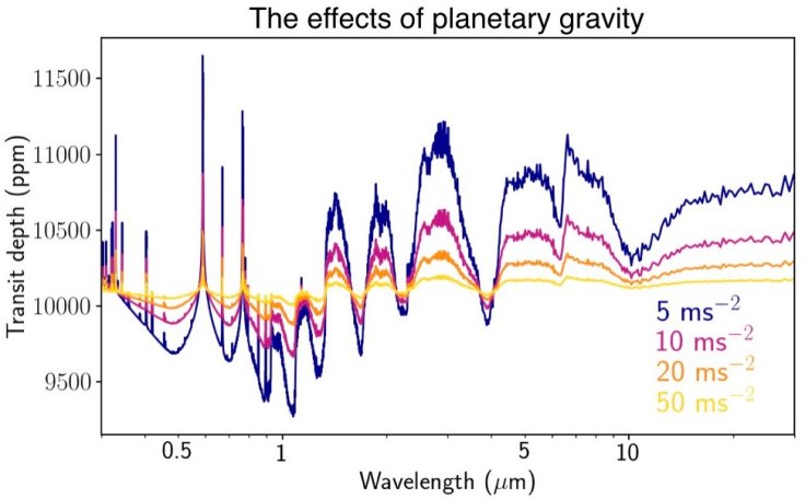 The effect of gravity